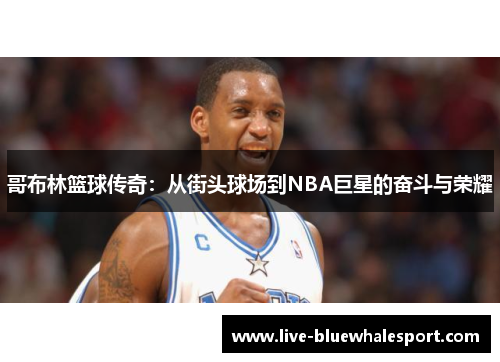 哥布林篮球传奇：从街头球场到NBA巨星的奋斗与荣耀