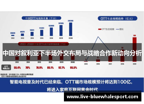 中国对叙利亚下半场外交布局与战略合作新动向分析